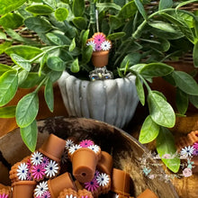 Load image into Gallery viewer, 3D Silicone Focal Bead - Flower Pot Pink &amp; White 1 Count Beads
