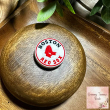 Load image into Gallery viewer, Boston Silicone Focal Beads

