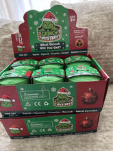 Load image into Gallery viewer, Grinch Mystery Dumpling Squishy (Non-Branded)
